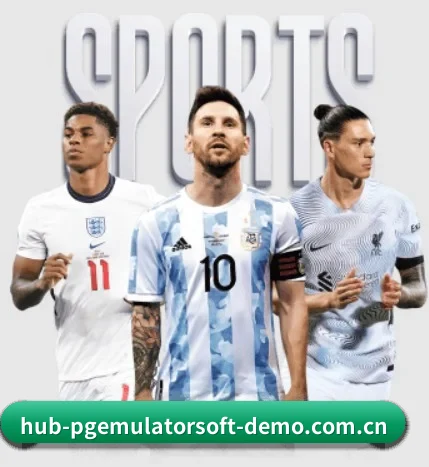 五个维度覆盖观赛前中后全流程
